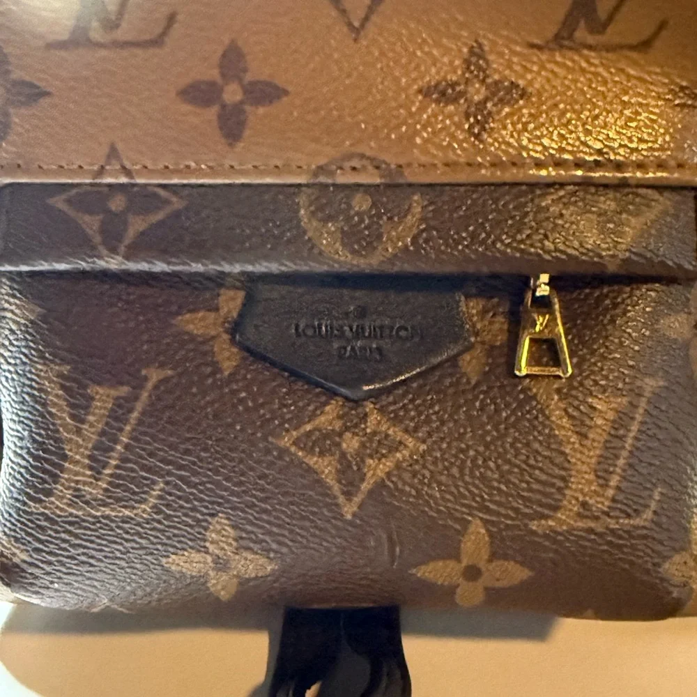Louis Vuitton LV reverse Monogram Palm Springs Mini - Picture 4 of 16